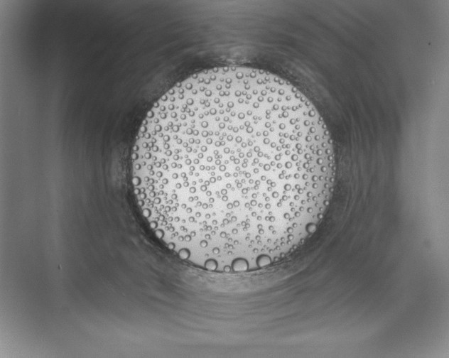 X0000072490030200608111614