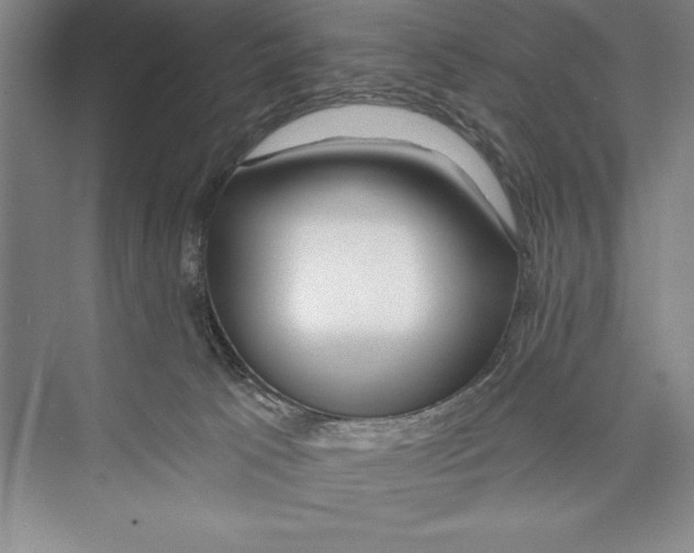 X0000072490033200608111613