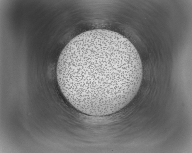 X0000072490034200608111613