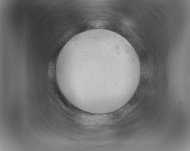 X0000072490036200608111613