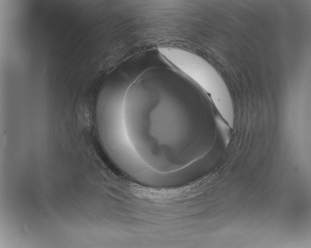 X0000072490039200608111613