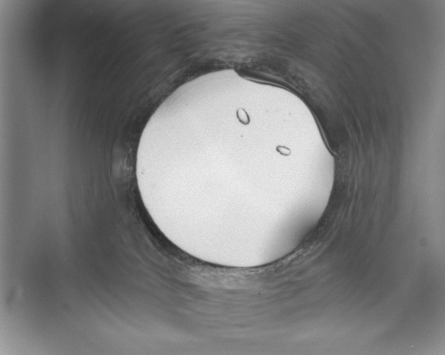 X0000072490040200608111613