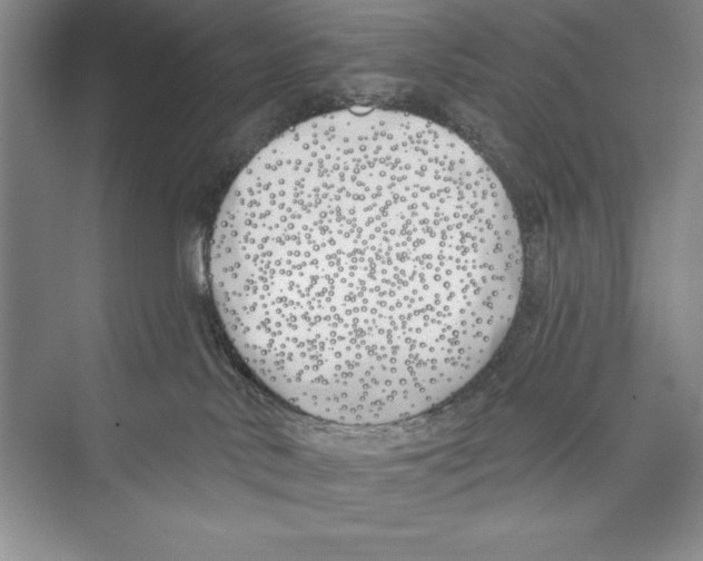 X0000072490042200608111613