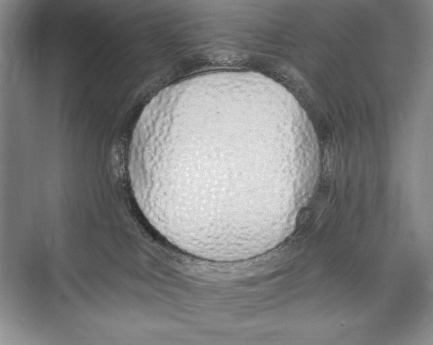 X0000072490043200608111613