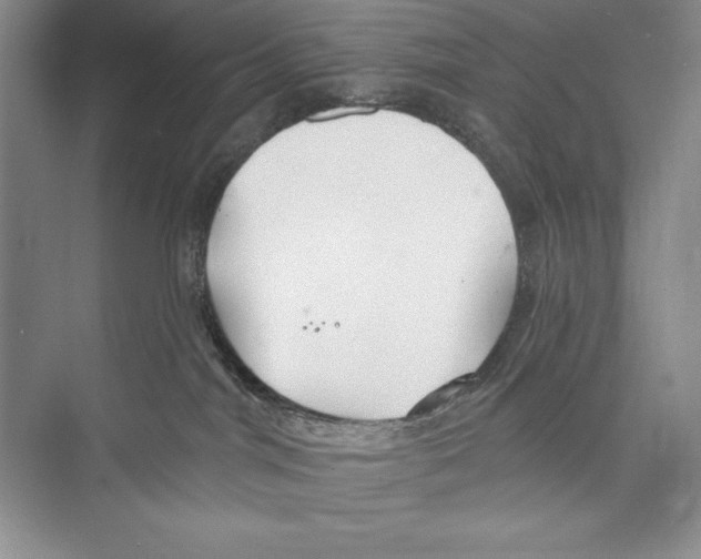 X0000072490044200608111613