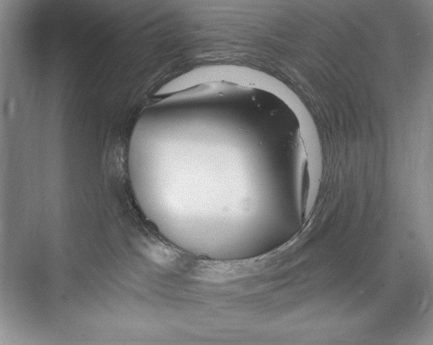 X0000072490045200608111613