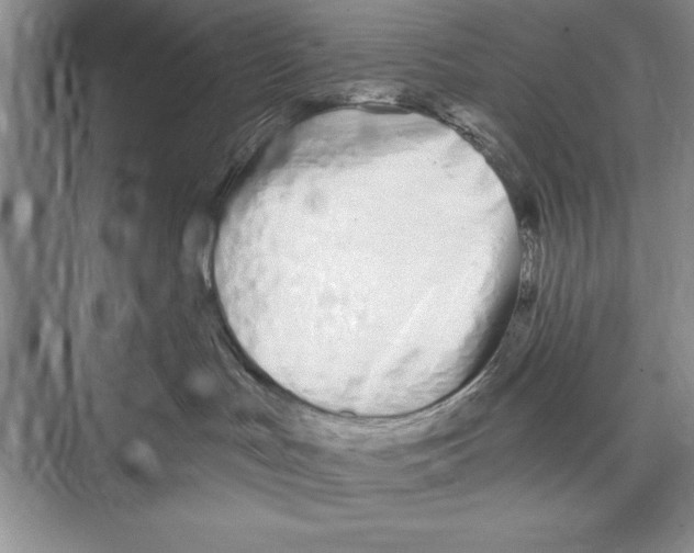 X0000072490047200608111613