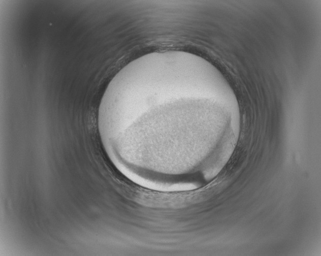 X0000072490048200608111613