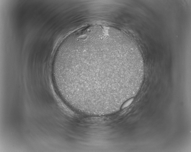 X0000072490049200608111612