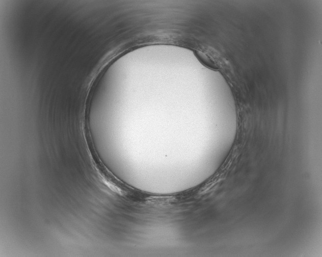 X0000072490051200608111612