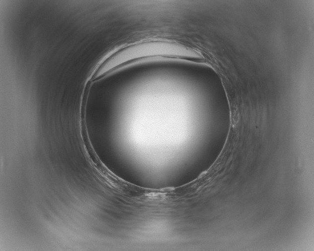 X0000072490052200608111612