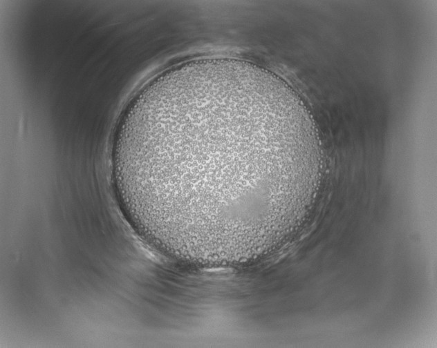 X0000072490053200608111612