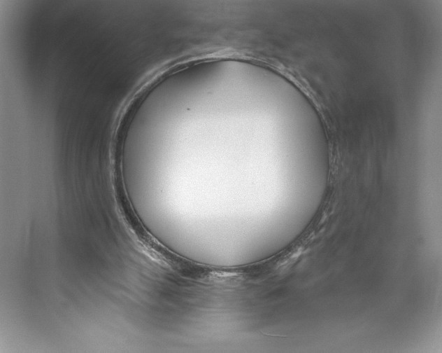 X0000072490055200608111613