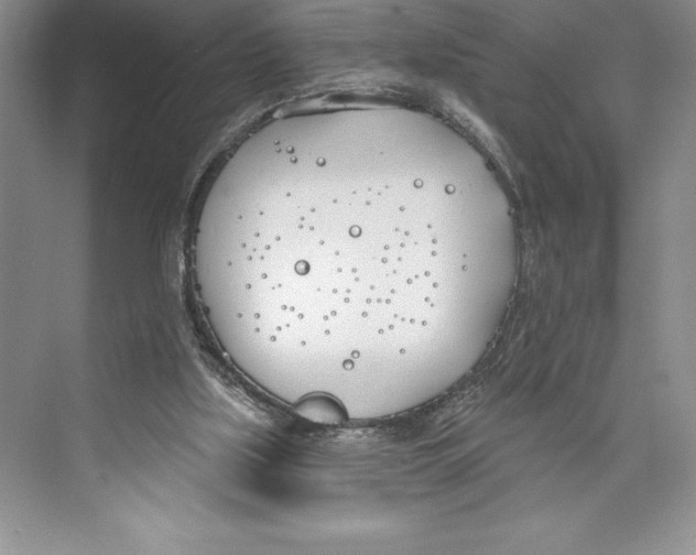 X0000072490059200608111613