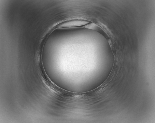 X0000072490060200608111613