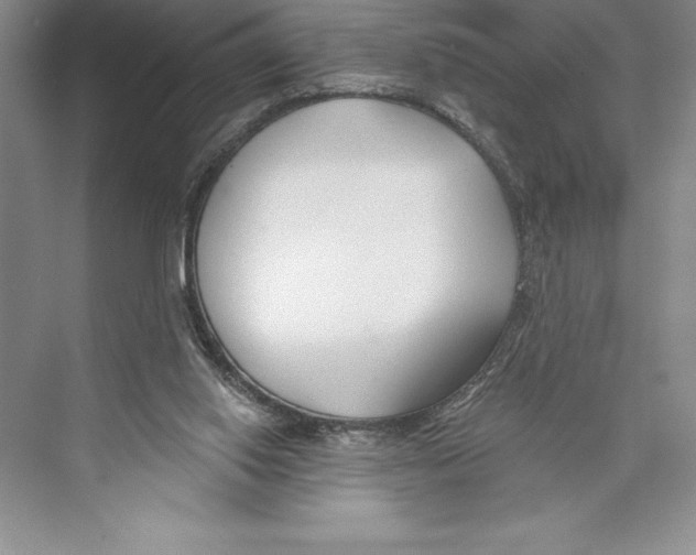 X0000072490062200608111613