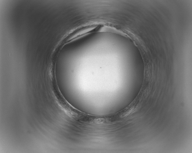 X0000072490064200608111613