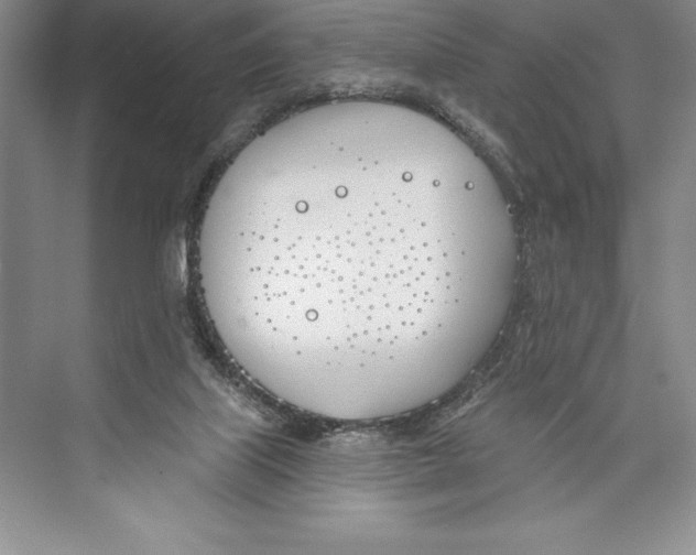 X0000072490067200608111613