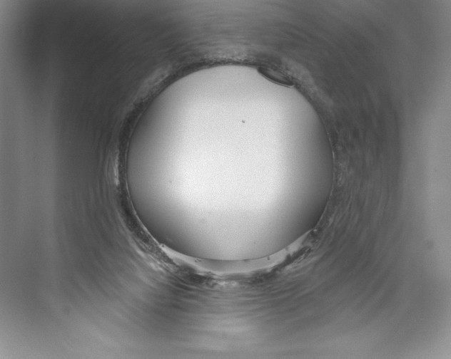 X0000072490068200608111613