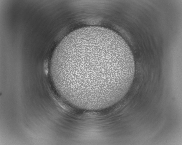 X0000072490069200608111613