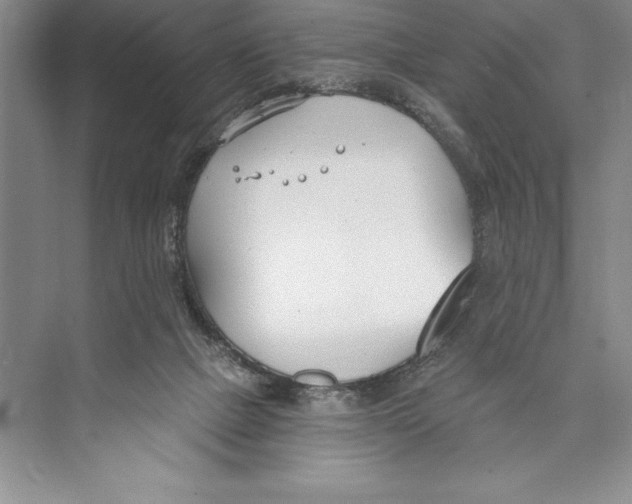 X0000072490073200608111613