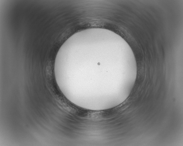 X0000072490078200608111613