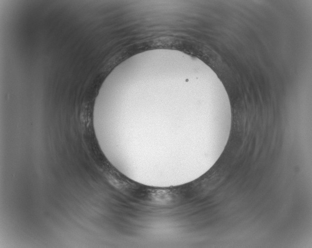 X0000072490091200608111613