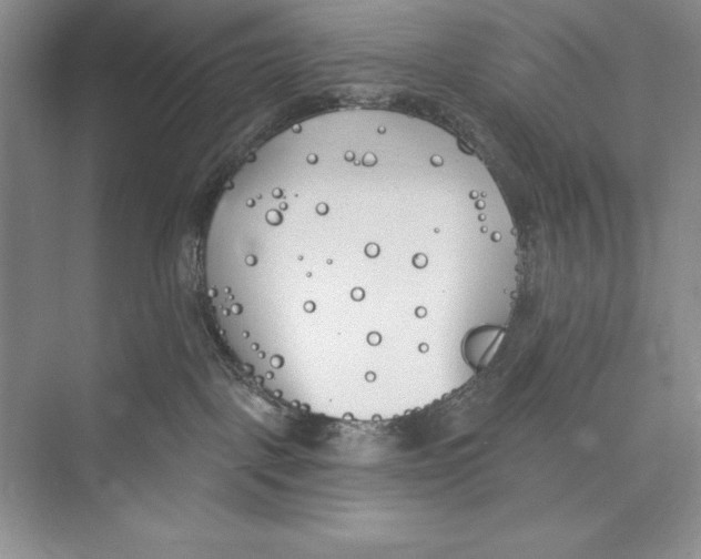 X0000072490093200608111613