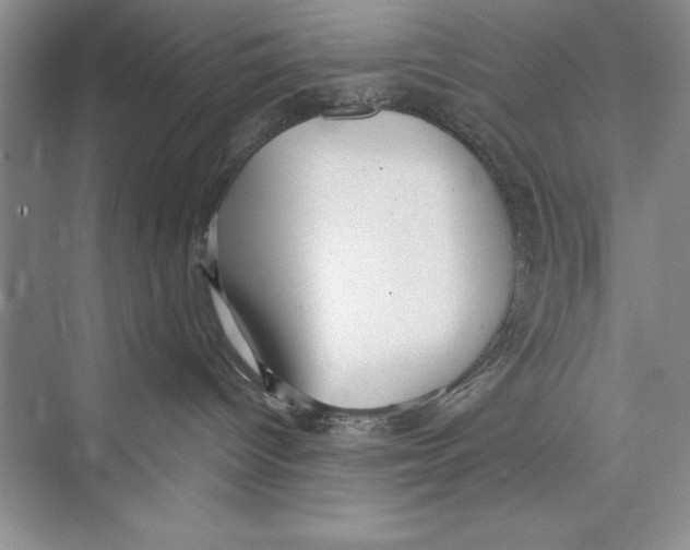 X0000072490096200608111613