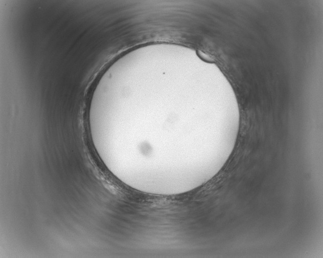 X0000072490098200608111612