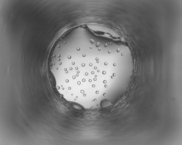 X0000072490099200608111612