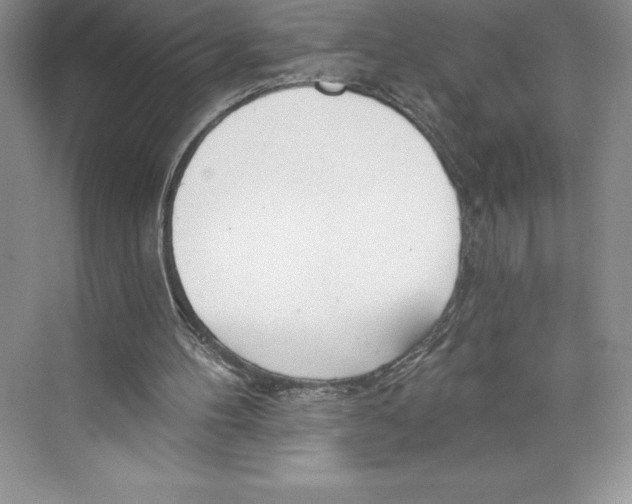 X0000072490100200608111612