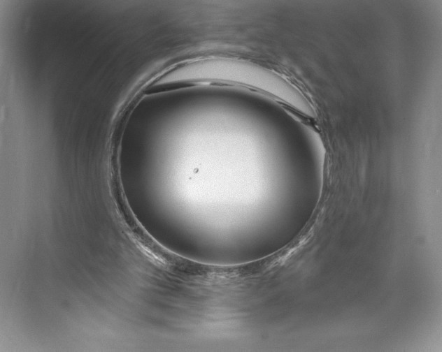 X0000072490101200608111612