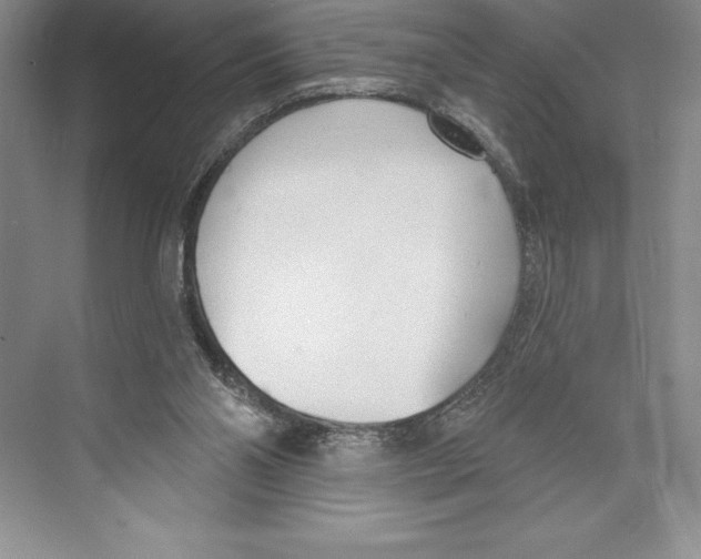 X0000072490110200608111612