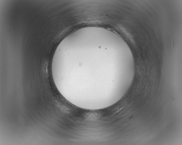 X0000072490115200608111612