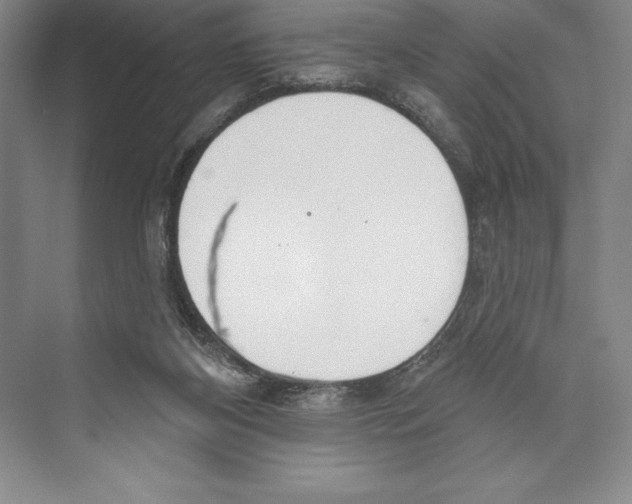 X0000072490116200608111612