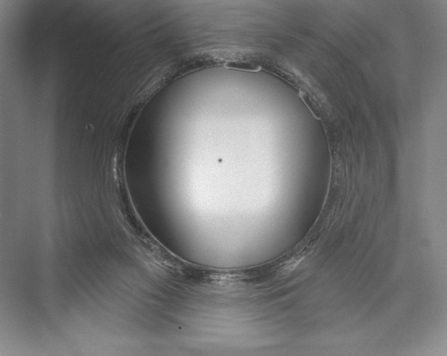 X0000072490117200608111612