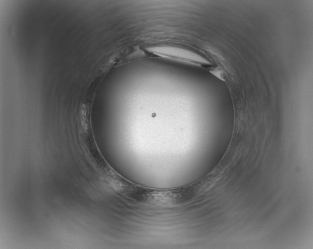 X0000072490121200608111612