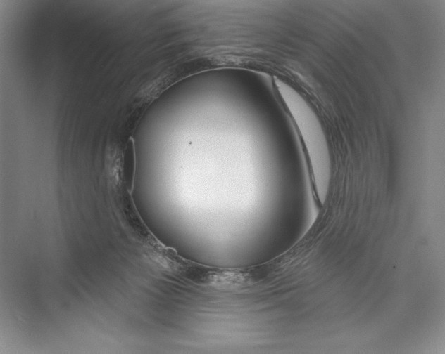 X0000072490125200608111612