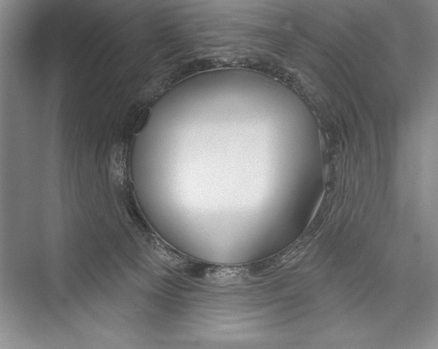 X0000072490129200608111612