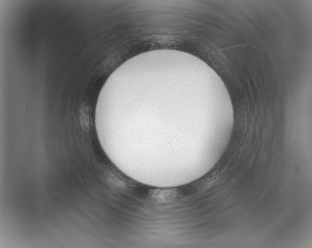 X0000072490135200608111612