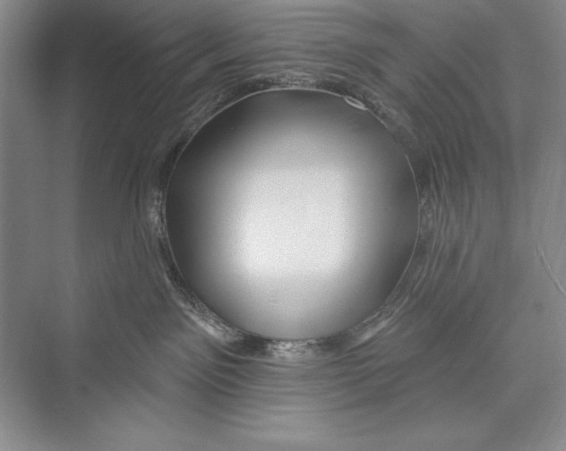 X0000072490141200608111612