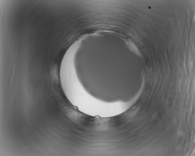 X0000072490143200608111612