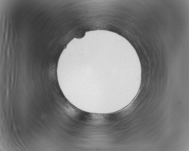 X0000072490144200608111612