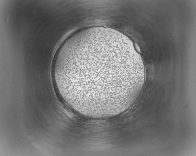 X0000072490147200608111611