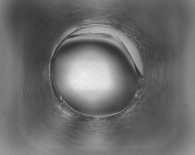 X0000072490148200608111611