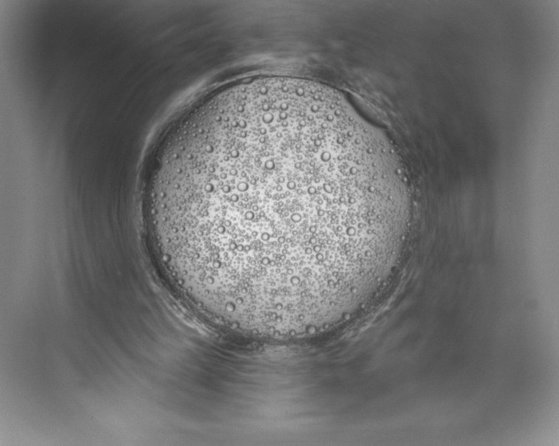 X0000072490149200608111611