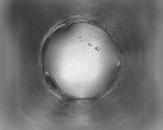 X0000072490150200608111611