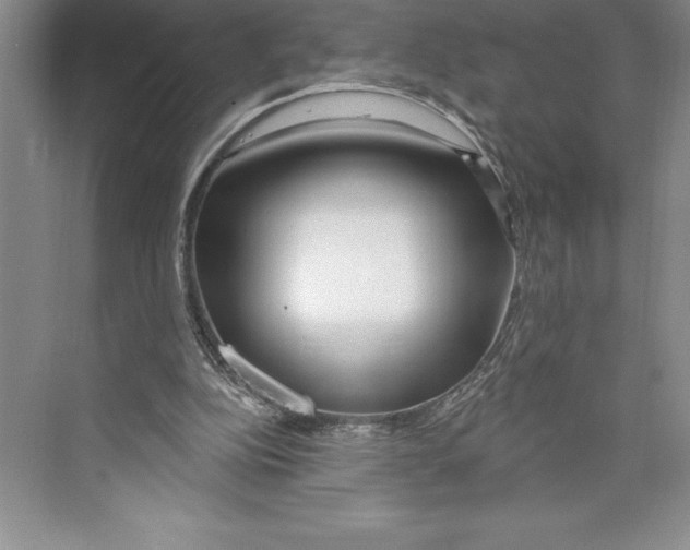 X0000072490152200608111611