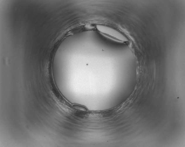 X0000072490154200608111611